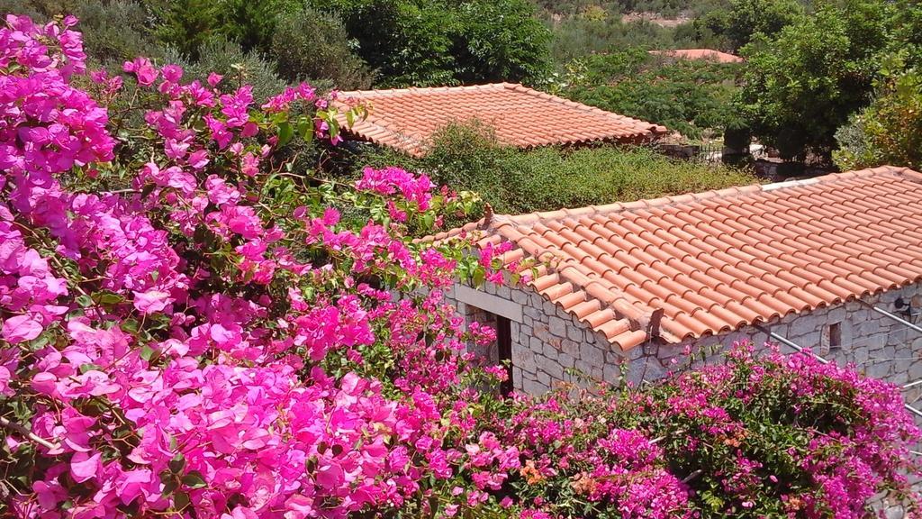 Sophia Mina Green Villa Exterior foto