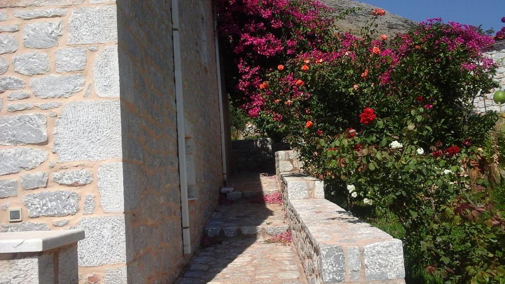 Sophia Mina Green Villa Exterior foto